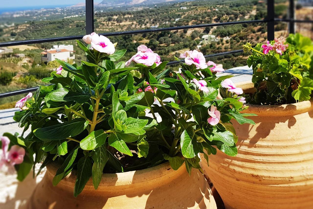 איה טריאס Villa Sunset With Stunning Sea View, Kids Area And Hammocks On Roof Terrace מראה חיצוני תמונה